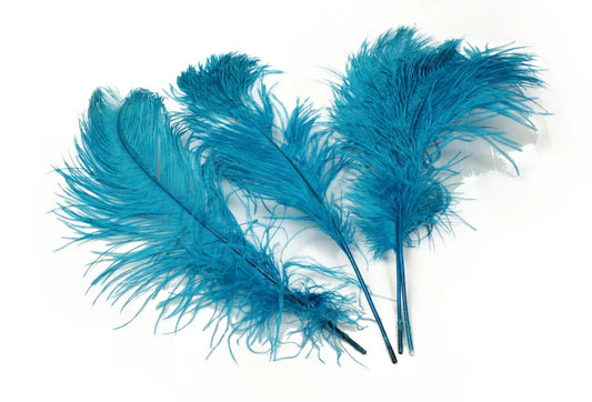 Ostrich Feather Tail Plumes 17-20" (Turquoise) - www.BuyOstrichFeathers.com