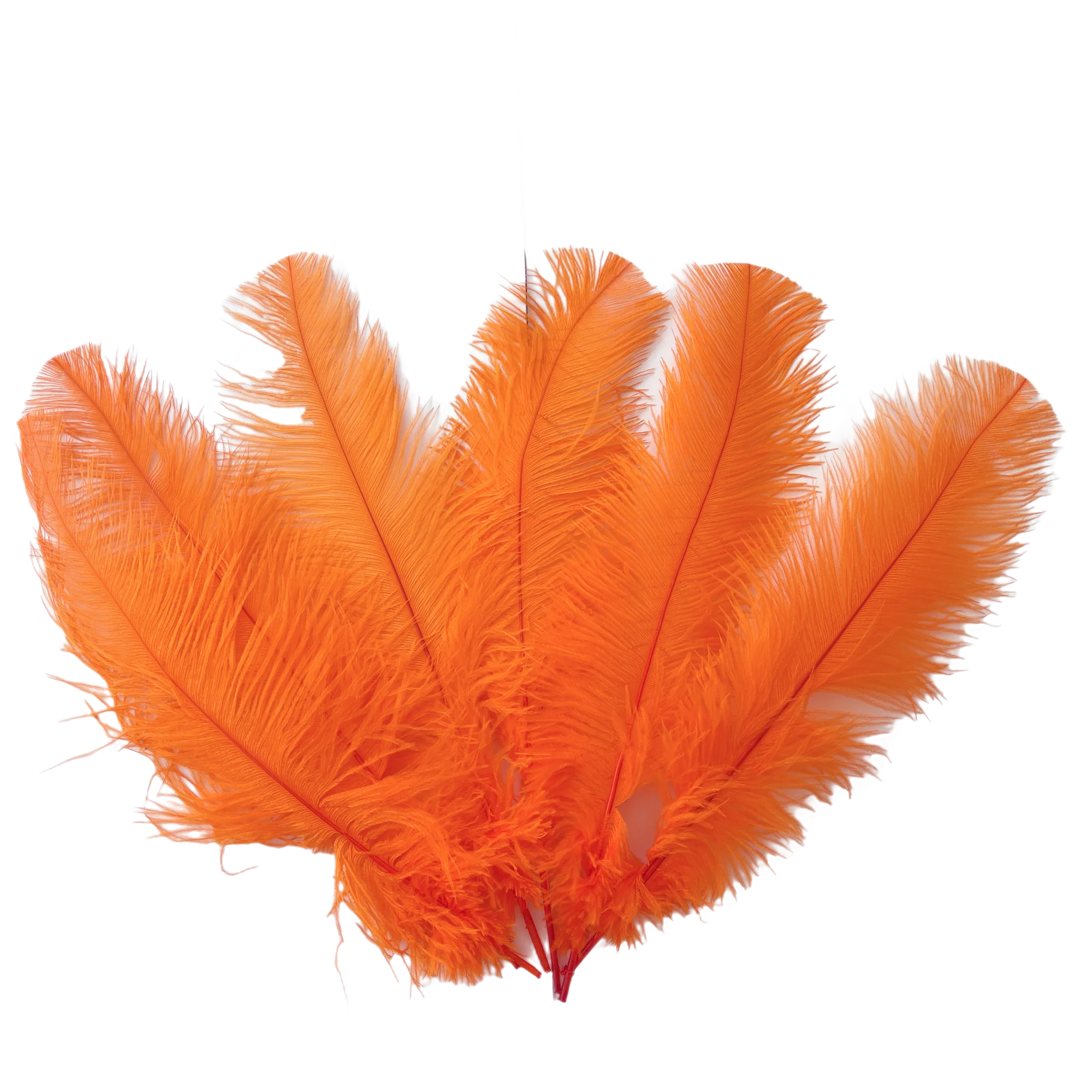 Ostrich Feather Spad Plumes 13-16" (Orange) - www.BuyOstrichFeathers.com
