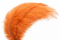 Load image into Gallery viewer, Complete Feather Centerpiece With 20" Vase (Orange) - www.BuyOstrichFeathers.com
