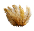 Load image into Gallery viewer, Ostrich Feather Spad Plumes 15-18" (Gold) - Buy Ostrich Feathers
