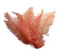 Load image into Gallery viewer, Ostrich Feather Spad Plumes 15-18" (Apricot) - Buy Ostrich Feathers
