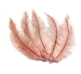 Load image into Gallery viewer, Ostrich Feather Spad Plumes 15-18" (Baby Pink) - Buy Ostrich Feathers
