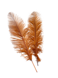 Load image into Gallery viewer, Ostrich Feather Spad Plumes 16-20" (Copper) - Buy Ostrich Feathers
