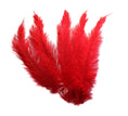 Load image into Gallery viewer, Ostrich Feather Spad Plumes 15-18" (Red) - Buy Ostrich Feathers
