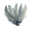 Load image into Gallery viewer, Ostrich Feather Spad Plumes 15-18" (Silver) - Buy Ostrich Feathers
