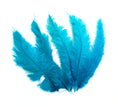 Load image into Gallery viewer, Ostrich Feather Spad Plumes 15-18" (Turquoise) - Buy Ostrich Feathers
