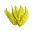 Load image into Gallery viewer, Ostrich Feather Spad Plumes 15-18" (Yellow) - Buy Ostrich Feathers
