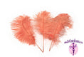 Load image into Gallery viewer, Complete Feather Centerpiece With 20" Vase (Apricot) - Buy Ostrich Feathers
