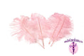 Load image into Gallery viewer, Complete Feather Centerpiece With 20" Vase (Baby Pink) - Buy Ostrich Feathers
