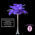 Load image into Gallery viewer, Complete Feather Centerpiece With 24" Vase (Purple) - Buy Ostrich Feathers

