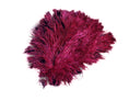 Load image into Gallery viewer, BULK 1/2lb Ostrich Feather Tail Plumes 15-20" (Burgundy) - Buy Ostrich Feathers
