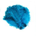 Load image into Gallery viewer, BULK 1/2lb Ostrich Feather Tail Plumes 15-20" (Turquoise) - Buy Ostrich Feathers
