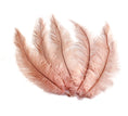 Load image into Gallery viewer, BULK 1/4lb Ostrich Feather Spad Plumes 12-16" (Baby Pink) - Buy Ostrich Feathers
