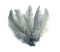 Load image into Gallery viewer, BULK 1/4lb Ostrich Feather Spad Plumes 12-16" (Silver/Grey) - Buy Ostrich Feathers
