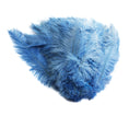 Load image into Gallery viewer, Ostrich Feather Spad Plumes 16-20" (Baby Blue) - Buy Ostrich Feathers
