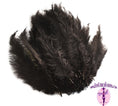 Load image into Gallery viewer, Ostrich Feather Rental 16-20" (Black) - 250pcs - Buy Ostrich Feathers
