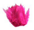 Load image into Gallery viewer, Ostrich Feather Spad Plumes 16-20" (Fuschia) - Buy Ostrich Feathers
