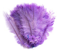 Load image into Gallery viewer, Ostrich Feather Spad Plumes 16-20" (Lavender) - Buy Ostrich Feathers
