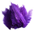 Load image into Gallery viewer, Ostrich Feather Spad Plumes 16-20" (Purple) - Buy Ostrich Feathers
