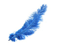 Load image into Gallery viewer, Ostrich Feather Spad Plumes 16-20" (Royal Blue) - Buy Ostrich Feathers
