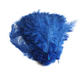 Load image into Gallery viewer, Ostrich Feather Spad Plumes 16-20" (Royal Blue) - Buy Ostrich Feathers
