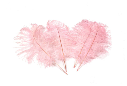 Ostrich Feather Tail Plumes 11-14" (Baby Pink) - Buy Ostrich Feathers