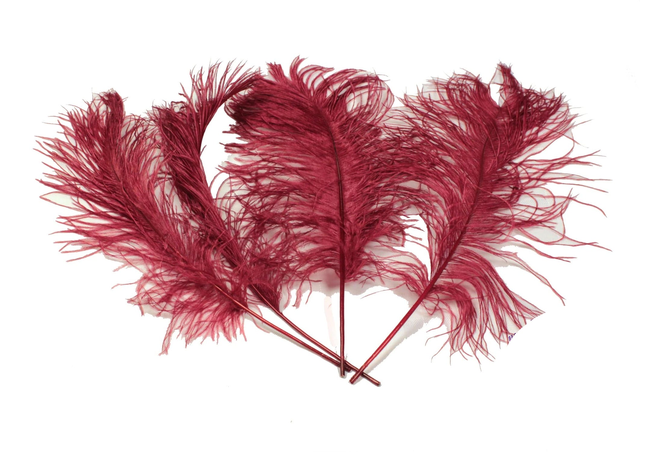 Ostrich Feather Tail Plumes 11-14" (Burgundy) - Buy Ostrich Feathers