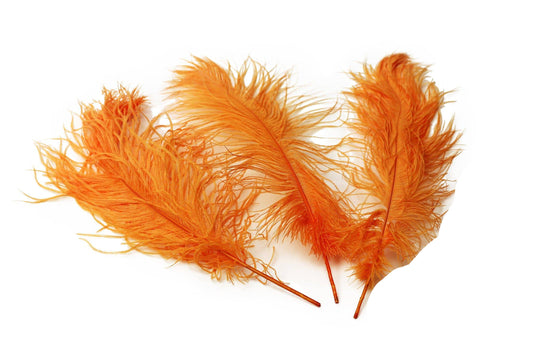 Ostrich Feather Tail Plumes 11-14" (Orange) - Buy Ostrich Feathers
