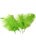 Load image into Gallery viewer, Ostrich Feather Tail Plumes 15-18" (Lime Green) - Buy Ostrich Feathers
