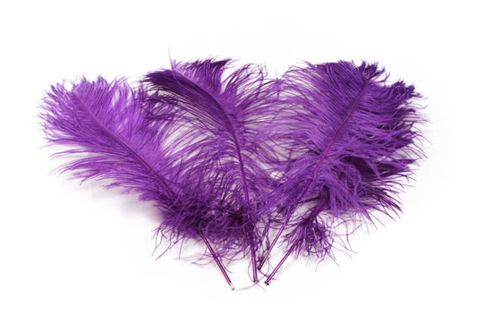 Ostrich Feather Tail Plumes 17-20" (Purple) - Buy Ostrich Feathers