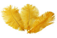 Load image into Gallery viewer, Ostrich Feather Tail Plumes 9-12" (Golden Yellow) - Buy Ostrich Feathers
