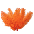 Load image into Gallery viewer, Ostrich Feather Spad Plumes 16-20" (Orange) - Buy Ostrich Feathers
